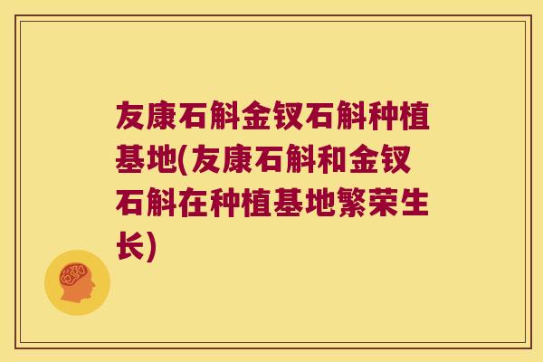 友康石斛金钗石斛种植基地(友康石斛和金钗石斛在种植基地繁荣生长)