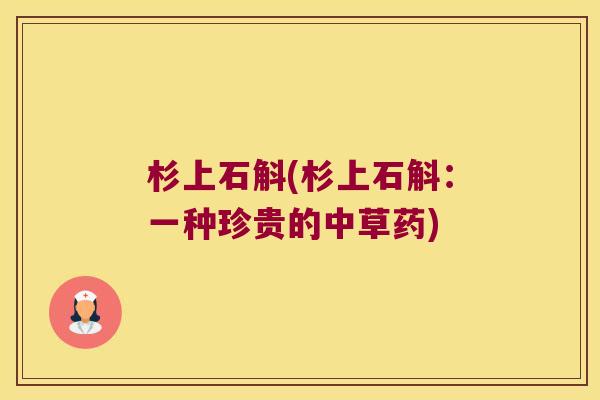 杉上石斛(杉上石斛：一种珍贵的中草药)