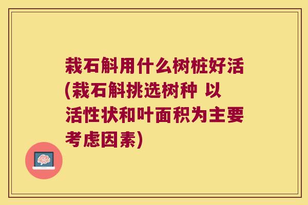 栽石斛用什么树桩好活(栽石斛挑选树种 以活性状和叶面积为主要考虑因素)