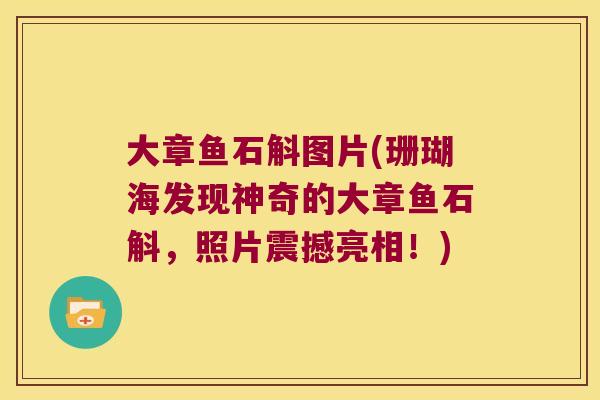 大章鱼石斛图片(珊瑚海发现神奇的大章鱼石斛，照片震撼亮相！)