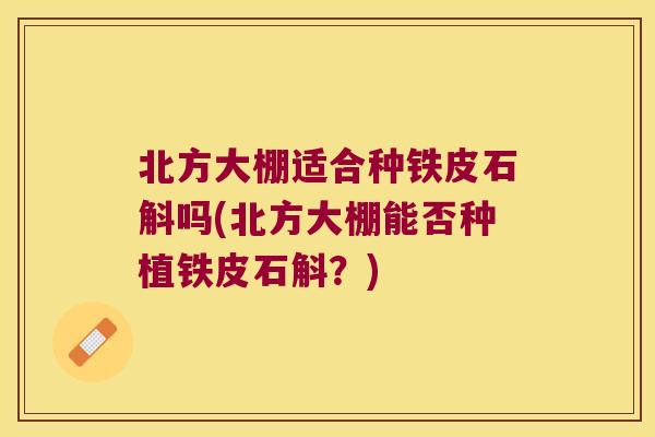 北方大棚适合种铁皮石斛吗(北方大棚能否种植铁皮石斛？)