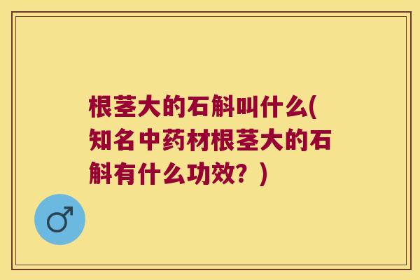 根茎大的石斛叫什么(知名中药材根茎大的石斛有什么功效？)