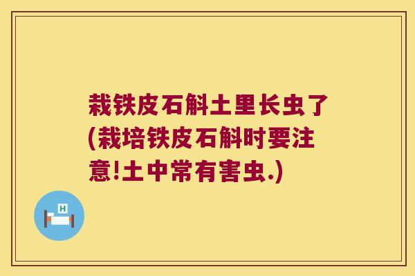 栽铁皮石斛土里长虫了(栽培铁皮石斛时要注意!土中常有害虫.)