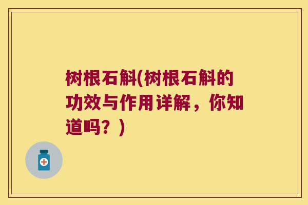 树根石斛(树根石斛的功效与作用详解,你知道吗?) 树根石斛(树根石斛的功效与作用详解,你知道吗?)