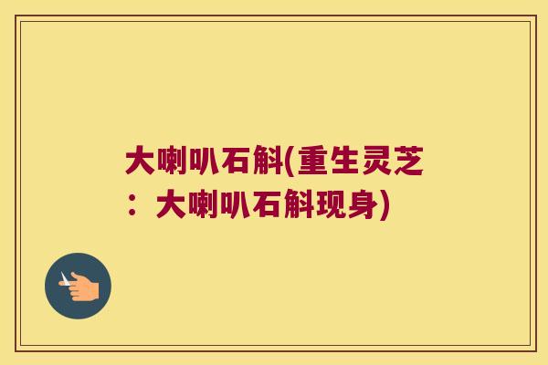 大喇叭石斛(重生灵芝：大喇叭石斛现身)