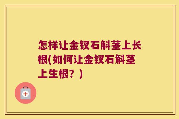 怎样让金钗石斛茎上长根(如何让金钗石斛茎上生根？)