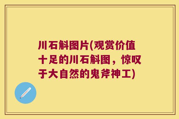 川石斛图片(观赏价值十足的川石斛图，惊叹于大自然的鬼斧神工)