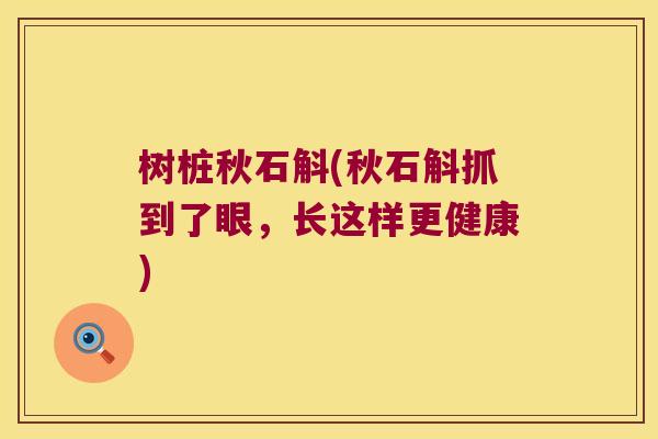 树桩秋石斛(秋石斛抓到了眼，长这样更健康)