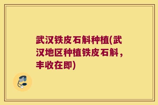 武汉铁皮石斛种植(武汉地区种植铁皮石斛，丰收在即)
