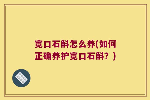 宽口石斛怎么养(如何正确养护宽口石斛？)