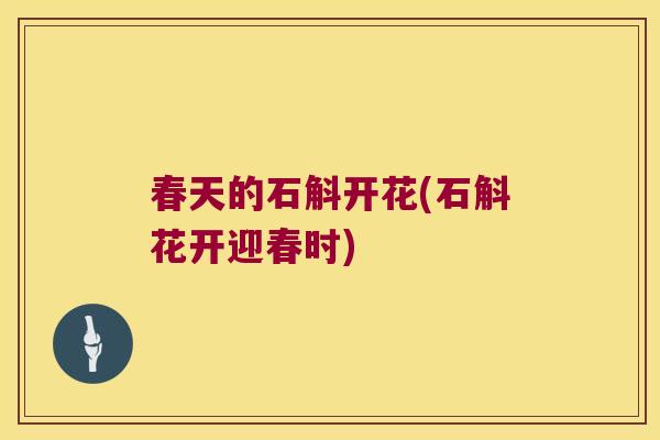 春天的石斛开花(石斛花开迎春时)