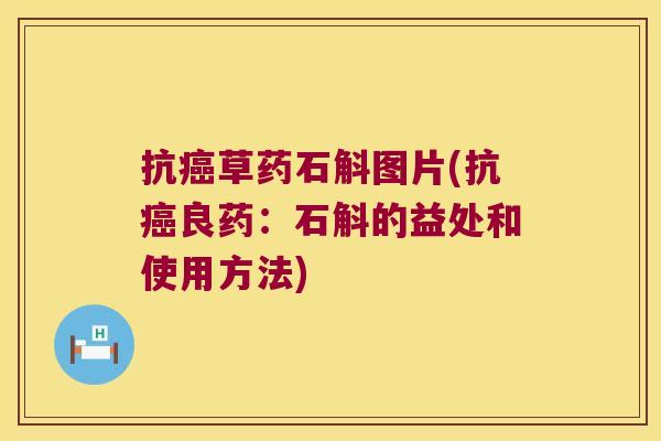 抗癌草药石斛图片(抗癌良药：石斛的益处和使用方法)