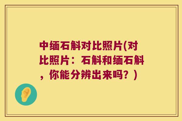 中缅石斛对比照片(对比照片：石斛和缅石斛，你能分辨出来吗？)