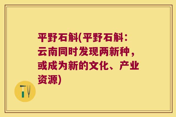 平野石斛(平野石斛：云南同时发现两新种，或成为新的文化、产业资源)