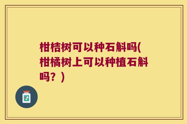 柑桔树可以种石斛吗(柑橘树上可以种植石斛吗？)