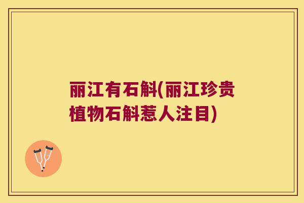 丽江有石斛(丽江珍贵植物石斛惹人注目)