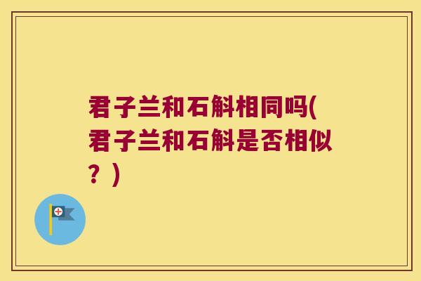 君子兰和石斛相同吗(君子兰和石斛是否相似？)