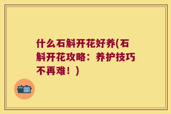 什么石斛开花好养(石斛开花攻略：养护技巧不再难！)