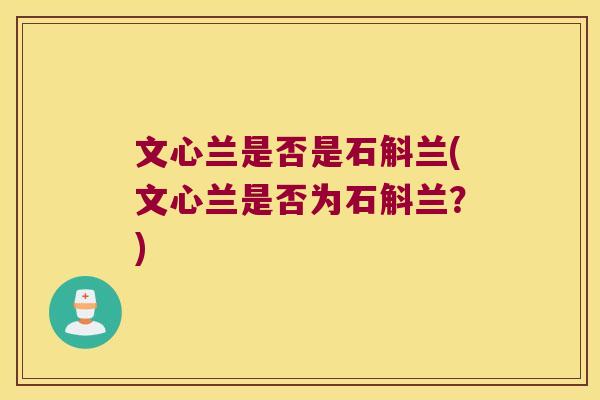 文心兰是否是石斛兰(文心兰是否为石斛兰？)