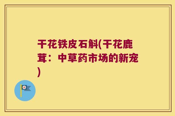 干花铁皮石斛(干花鹿茸：中草药市场的新宠)