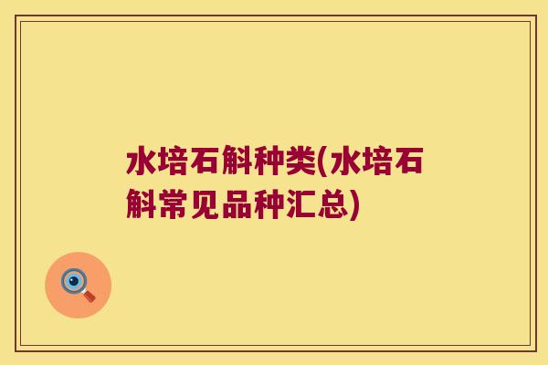 水培石斛种类(水培石斛常见品种汇总)