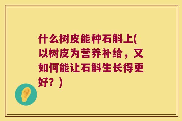 什么树皮能种石斛上(以树皮为营养补给，又如何能让石斛生长得更好？)