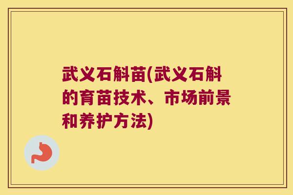 武义石斛苗(武义石斛的育苗技术、市场前景和养护方法)