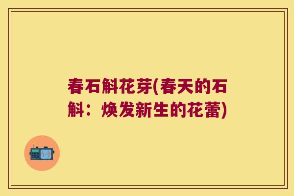 春石斛花芽(春天的石斛：焕发新生的花蕾)