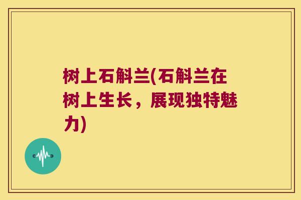 树上石斛兰(石斛兰在树上生长，展现独特魅力)