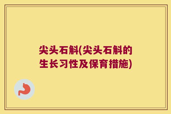 尖头石斛(尖头石斛的生长习性及保育措施)