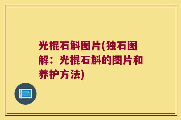 光棍石斛图片(独石图解：光棍石斛的图片和养护方法)