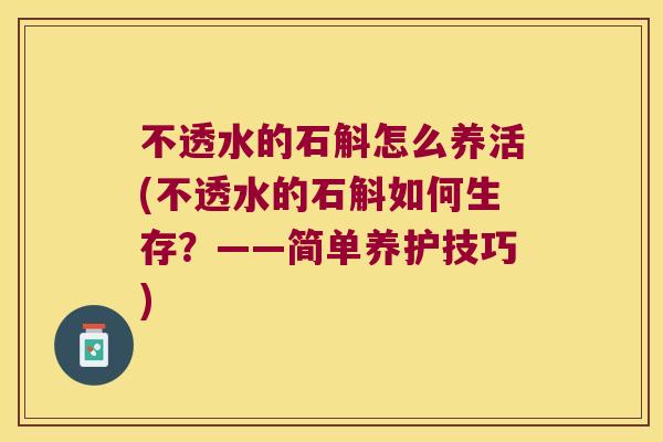 不透水的石斛怎么养活(不透水的石斛如何生存？——简单养护技巧)