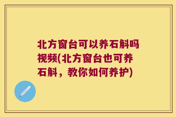 北方窗台可以养石斛吗视频(北方窗台也可养石斛，教你如何养护)