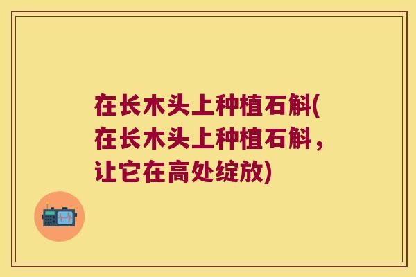 在长木头上种植石斛(在长木头上种植石斛，让它在高处绽放)