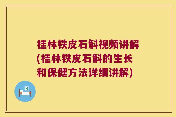 桂林铁皮石斛视频讲解(桂林铁皮石斛的生长和保健方法详细讲解)