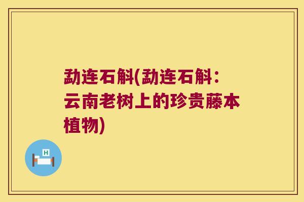 勐连石斛(勐连石斛：云南老树上的珍贵藤本植物)