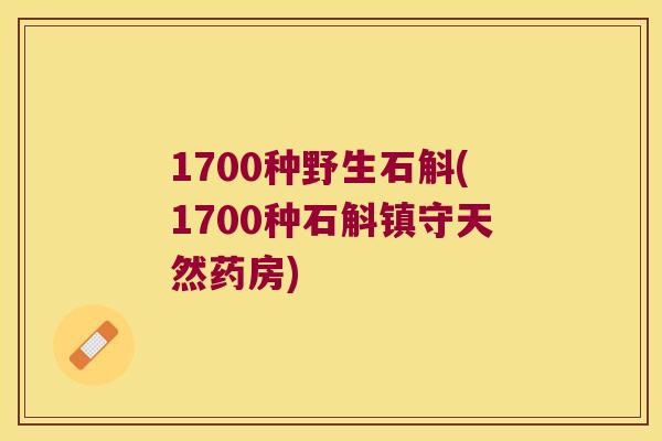 1700种野生石斛(1700种石斛镇守天然药房)
