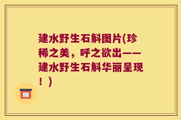 建水野生石斛图片(珍稀之美，呼之欲出——建水野生石斛华丽呈现！)