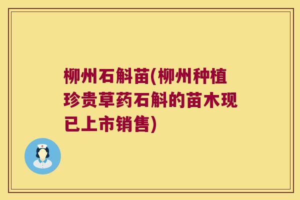 柳州石斛苗(柳州种植珍贵草药石斛的苗木现已上市销售)