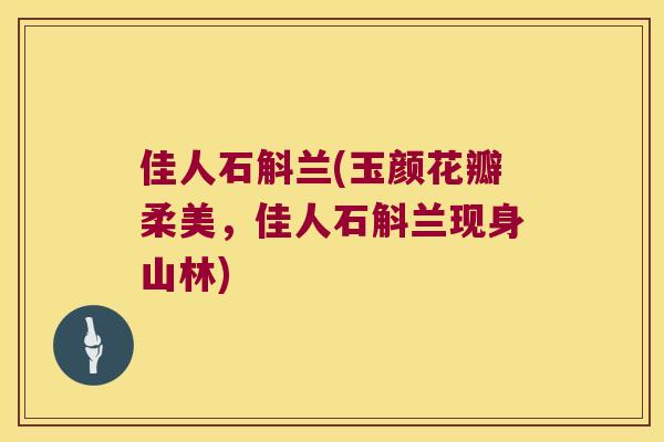 佳人石斛兰(玉颜花瓣柔美，佳人石斛兰现身山林)