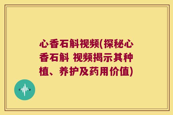 心香石斛视频(探秘心香石斛 视频揭示其种植、养护及药用价值)