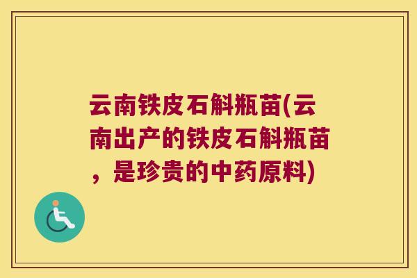 云南铁皮石斛瓶苗(云南出产的铁皮石斛瓶苗，是珍贵的原料)
