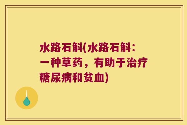 水路石斛(水路石斛：一种草药，有助于治疗糖尿病和贫血)