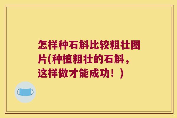 怎样种石斛比较粗壮图片(种植粗壮的石斛，这样做才能成功！)