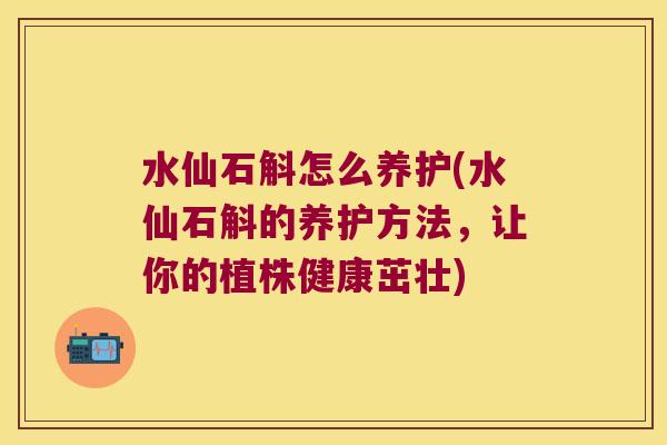 水仙石斛怎么养护(水仙石斛的养护方法，让你的植株健康茁壮)