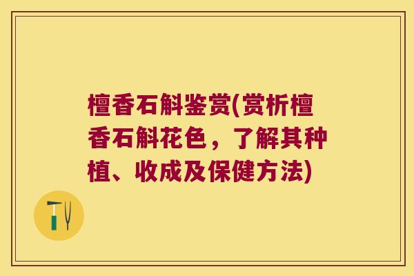 檀香石斛鉴赏(赏析檀香石斛花色，了解其种植、收成及保健方法)