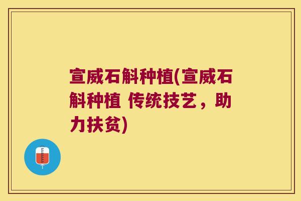 宣威石斛种植(宣威石斛种植 传统技艺，助力扶贫)