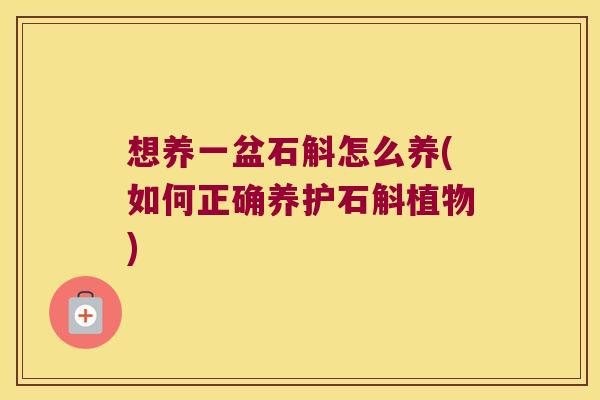 想养一盆石斛怎么养(如何正确养护石斛植物)