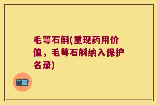 毛萼石斛(重现药用价值，毛萼石斛纳入保护名录)