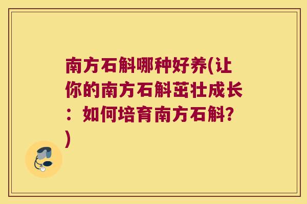 南方石斛哪种好养(让你的南方石斛茁壮成长：如何培育南方石斛？)